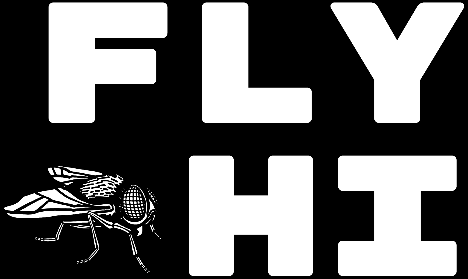FlyHi Studio USA