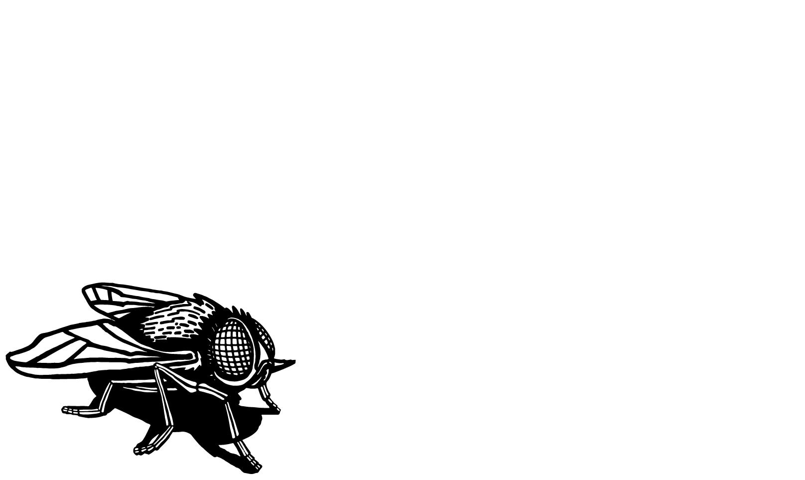 FlyHi Studio USA